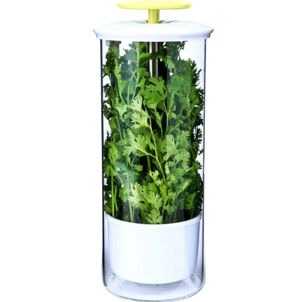 Cleae Borosilicate Glass Herb Keeper and Herb‎ Storage Container 12.2x4.7in